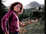 Гермиона - Обои УА / 800х600