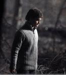 Дэн в Дарах