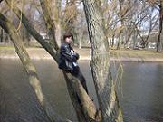 Любимое дерево Geldor